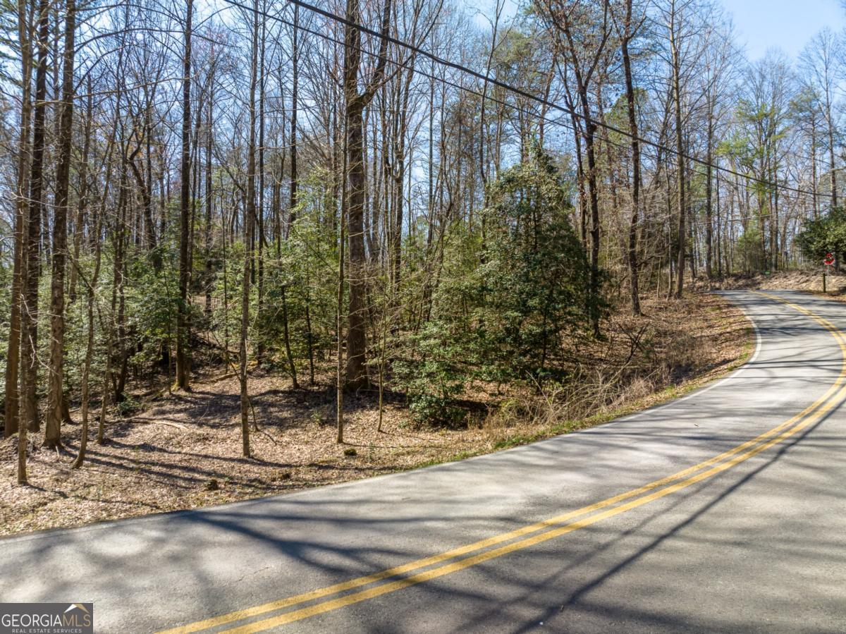 Welcome to your dream homesite nestled in the picturesque Buckhorn Estates! This stunning .73 acre corner lot boasts a prime location, fronting both Shenendoa Drive and Boardtown Road, offering unparalleled accessibility and convenience. With a gentle lay and easy access, this lot is primed for your vision of mountain living. Enjoy modern amenities with electric, cable, and high-speed internet readily available, ensuring you stay connected while embracing the tranquility of the mountains. Nestled between Ellijay and Blue Ridge, Buckhorn Estates offers the perfect balance of serenity and convenience. The community features all paved roads and boasts remarkably low HOA fees of only $225 per year, making it an ideal retreat for year-round living or a vacation getaway. Indulge in the abundance of recreational opportunities Buckhorn Estates has to offer. Take advantage of the beautiful river park, an 8-acre fishing lake, and the luxury of driving your golf cart over to the renowned Whitepath Golf Course, an 18-hole gem open to the public. Embrace the true essence of mountain living while enjoying the convenience of being just 10 minutes from town. Plus, residents over the age of 65 benefit from Gilmer County's unique perk of no school tax, adding even more value to this remarkable community. Don't miss this extraordinary opportunity to build your mountain retreat in Buckhorn Estates. Seize the chance to create your ideal lifestyle surrounded by the breathtaking beauty of the North Georgia mountains. Schedule your showing today and make your mountain dreams a reality!