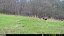 2230 Reese RD TRACT C