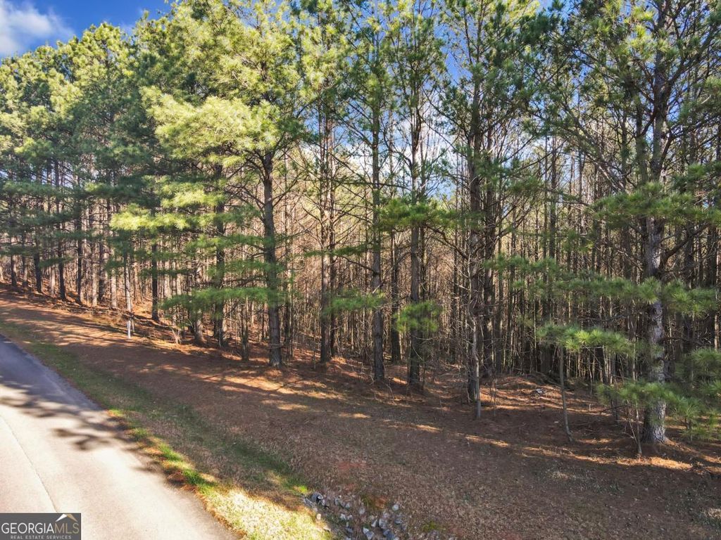 Photo of 0 Foxpaw Leaf Lane #38, Ellijay, GA 30536 (MLS # 10635947)