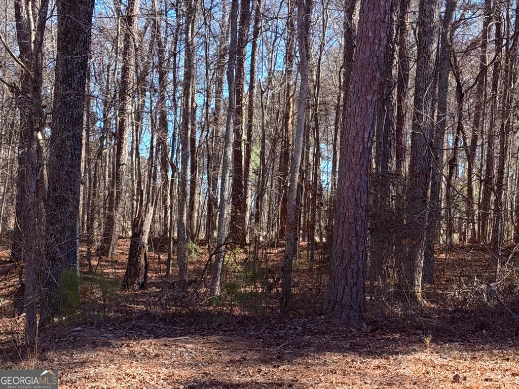 Photo of 3297 Lakeview Parkway, Villa Rica, GA 30180 (MLS # 10687539)