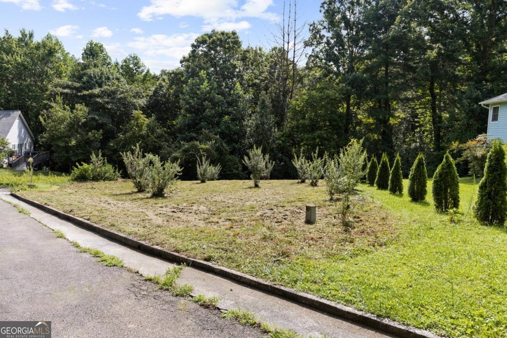Photo of 9 Oakwood Court, Blue Ridge, GA 30513 (MLS # 10822272)