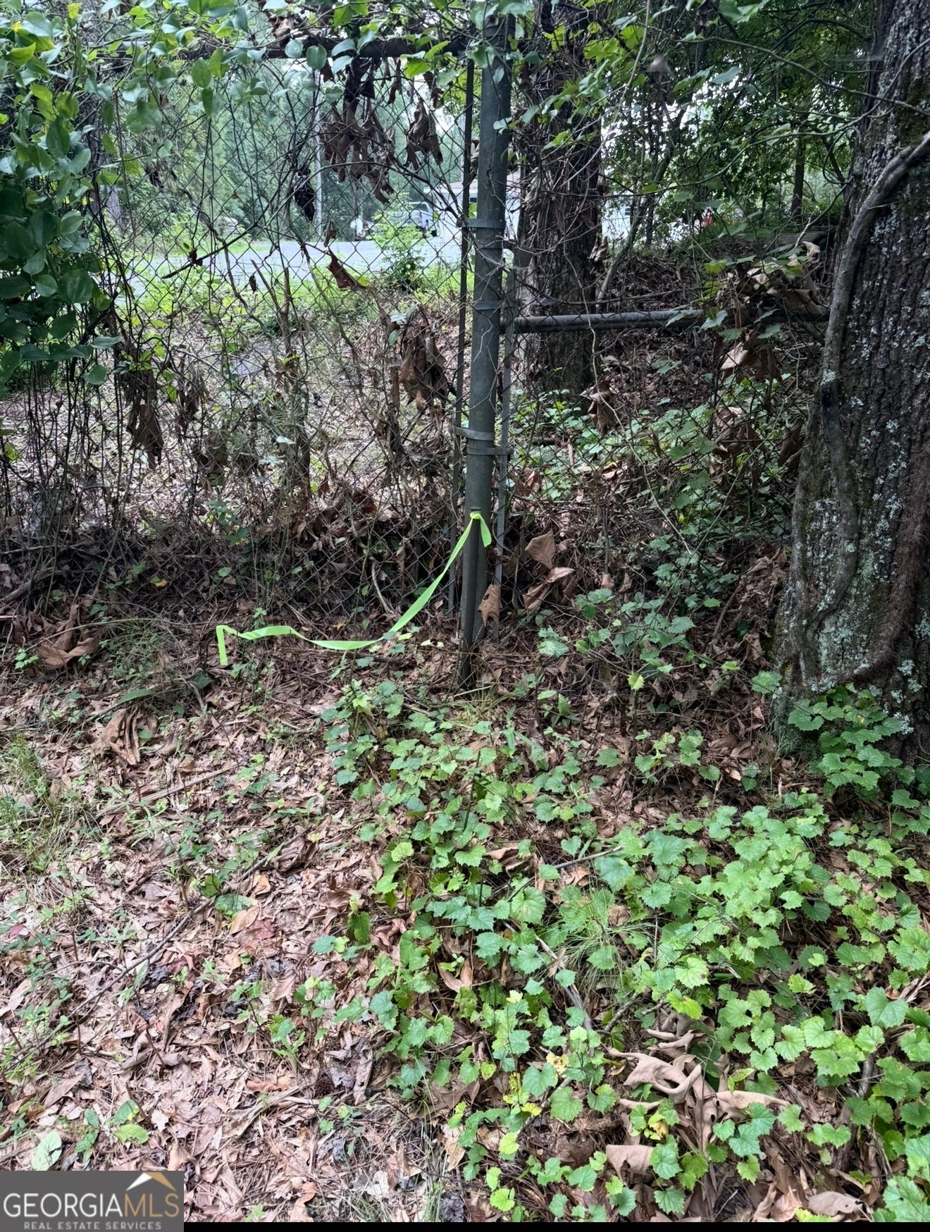 3343 Powder Springs RD