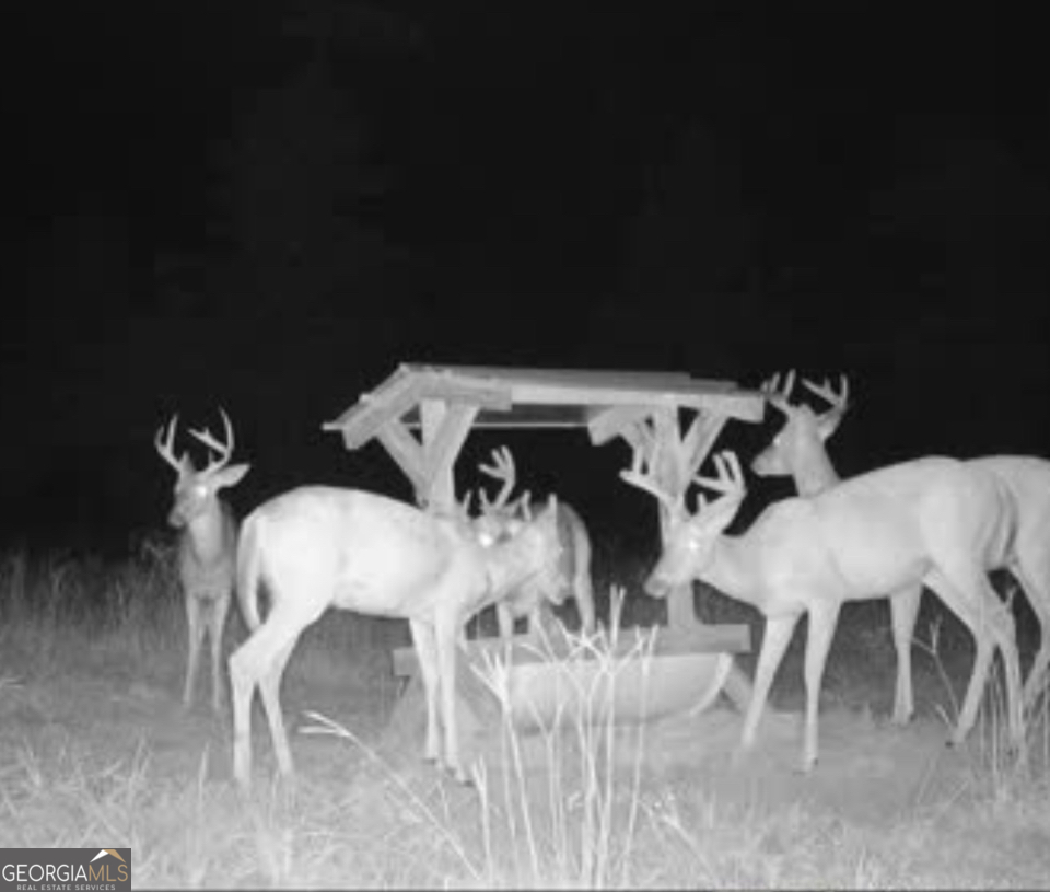 0 Poplar Springs Ch. Rd.