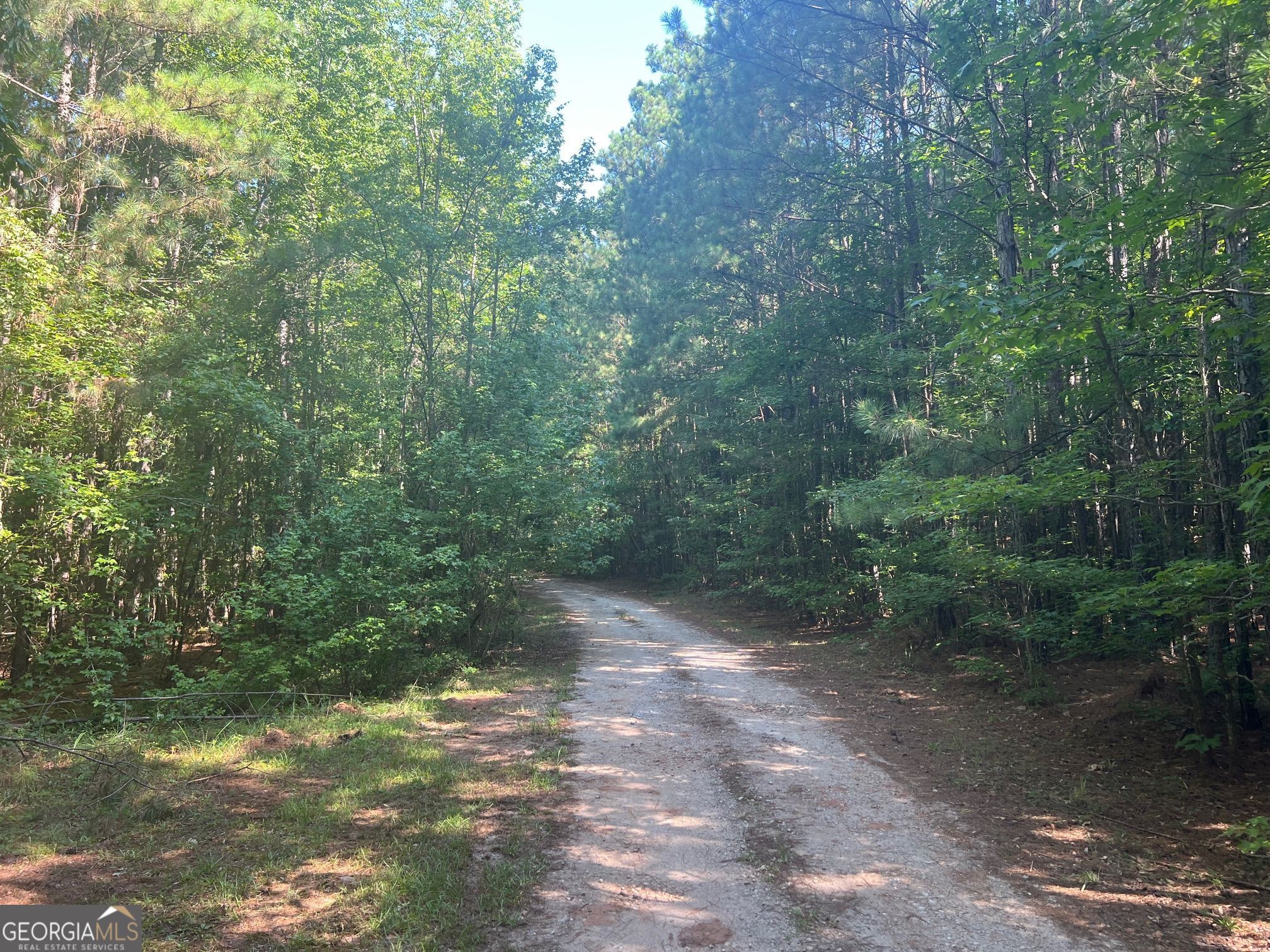 0 Dickson RD