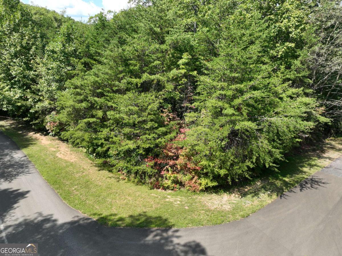 123 Edinborough CT