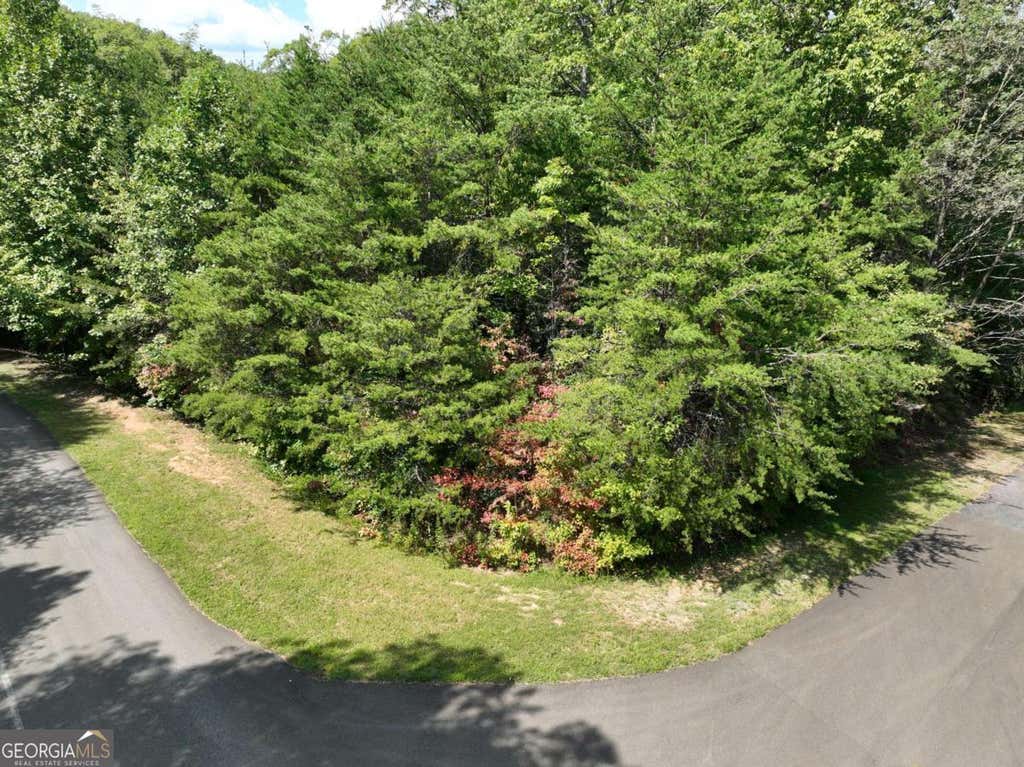 Photo of 123 Edinborough Court, Ellijay, GA 30536 (MLS # 10786842)