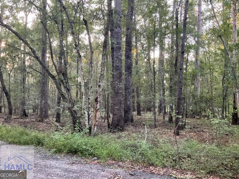 Photo of 0 Cherry Lane, Fleming, GA 31313 (MLS # 10810720)