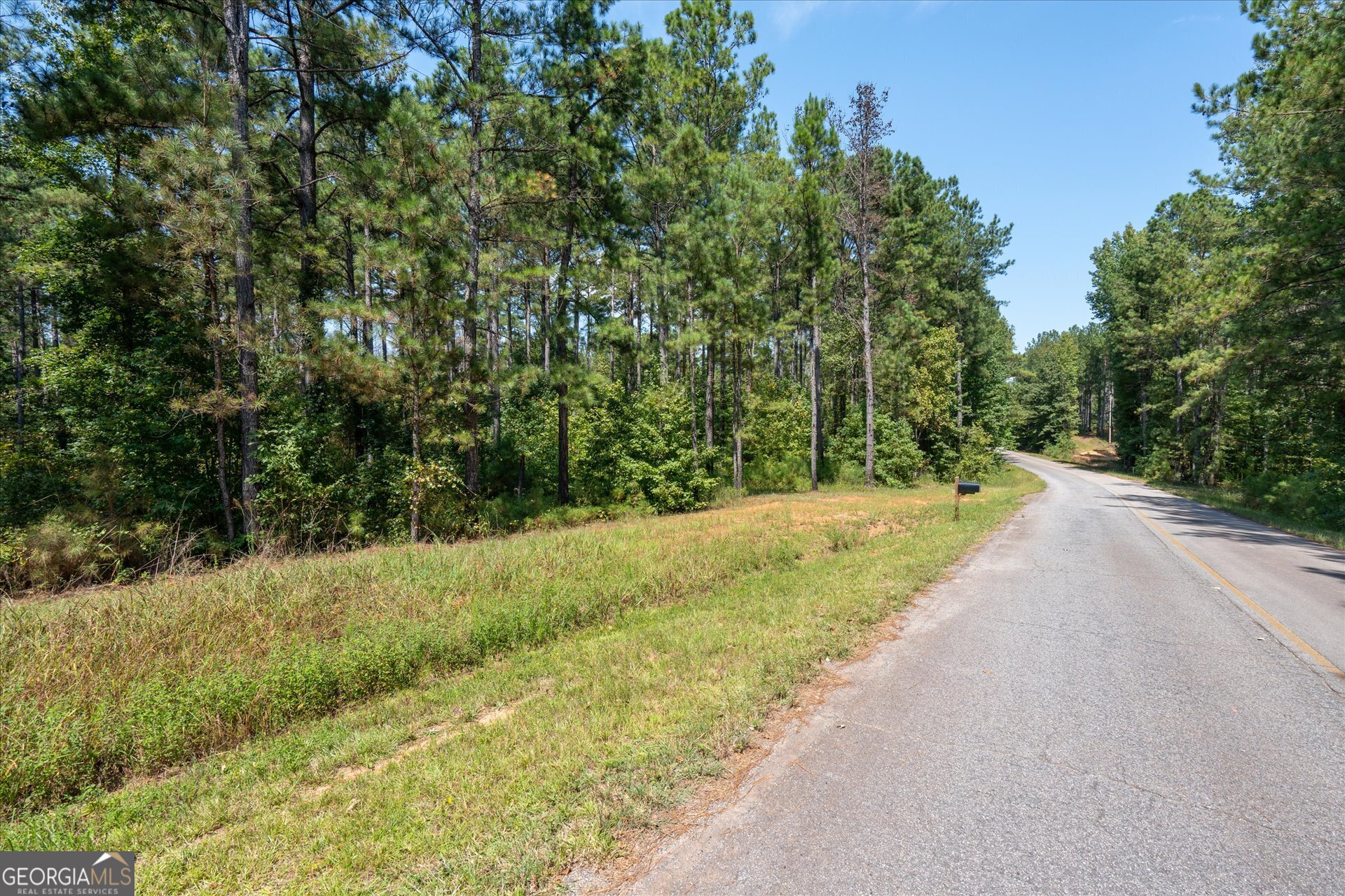Escape to your own private retreat with this beautiful 11.7-acre fully wooded parcel, nestled in a serene, peaceful area, and within the highly regarded Central School District. This property has an approved Perc test on file, and a partial driveway to the perfect spot to start your vision! You have an option of a well or public access to the water at the corner of the property. Whether you're dreaming of building your forever home, a secluded cabin getaway, or simply investing in land, this property offers a rare combination of privacy, natural beauty, and convenience. Located just a short drive from dining, shopping, and everyday essentials, you'll enjoy the best of both worlds - peaceful seclusion without sacrificing accessibility. If you're looking to build now or hold for future use, this property is a solid investment. Opportunities like this are increasingly rare! Schedule your private tour today and experience the potential of this remarkable land.