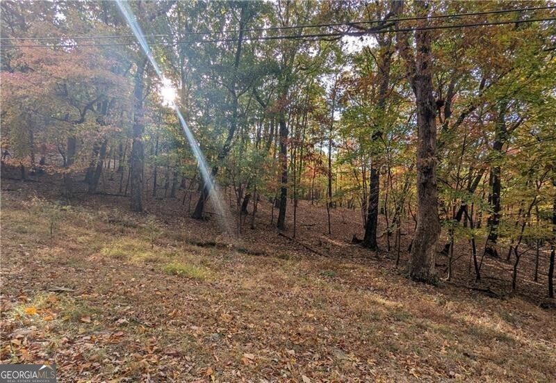 0 Oglethorpe Mountain RD