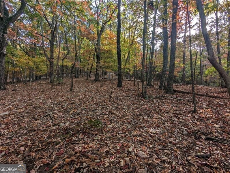 0 Oglethorpe Mountain RD