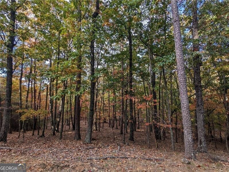 Photo of 0 Oglethorpe Mountain Road, Jasper, GA 30143 (MLS # 10221607)