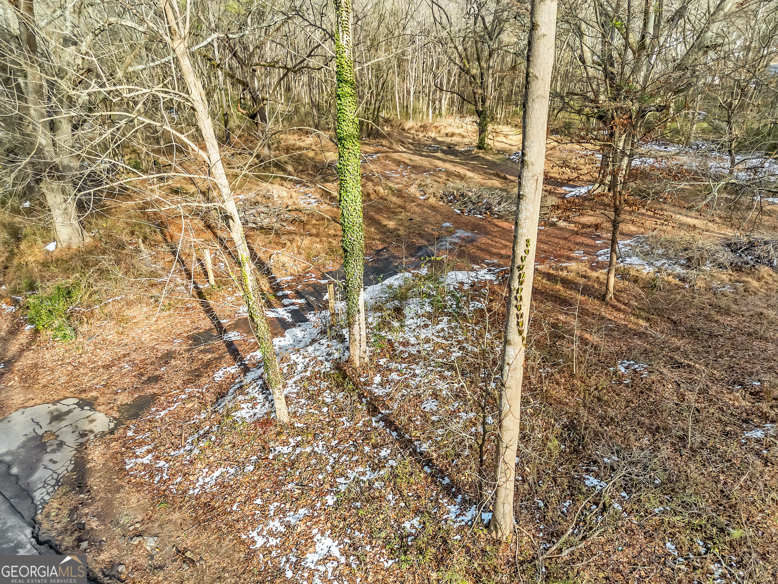 Decatur, Georgia 30034, United States, ,Land,Active,19490