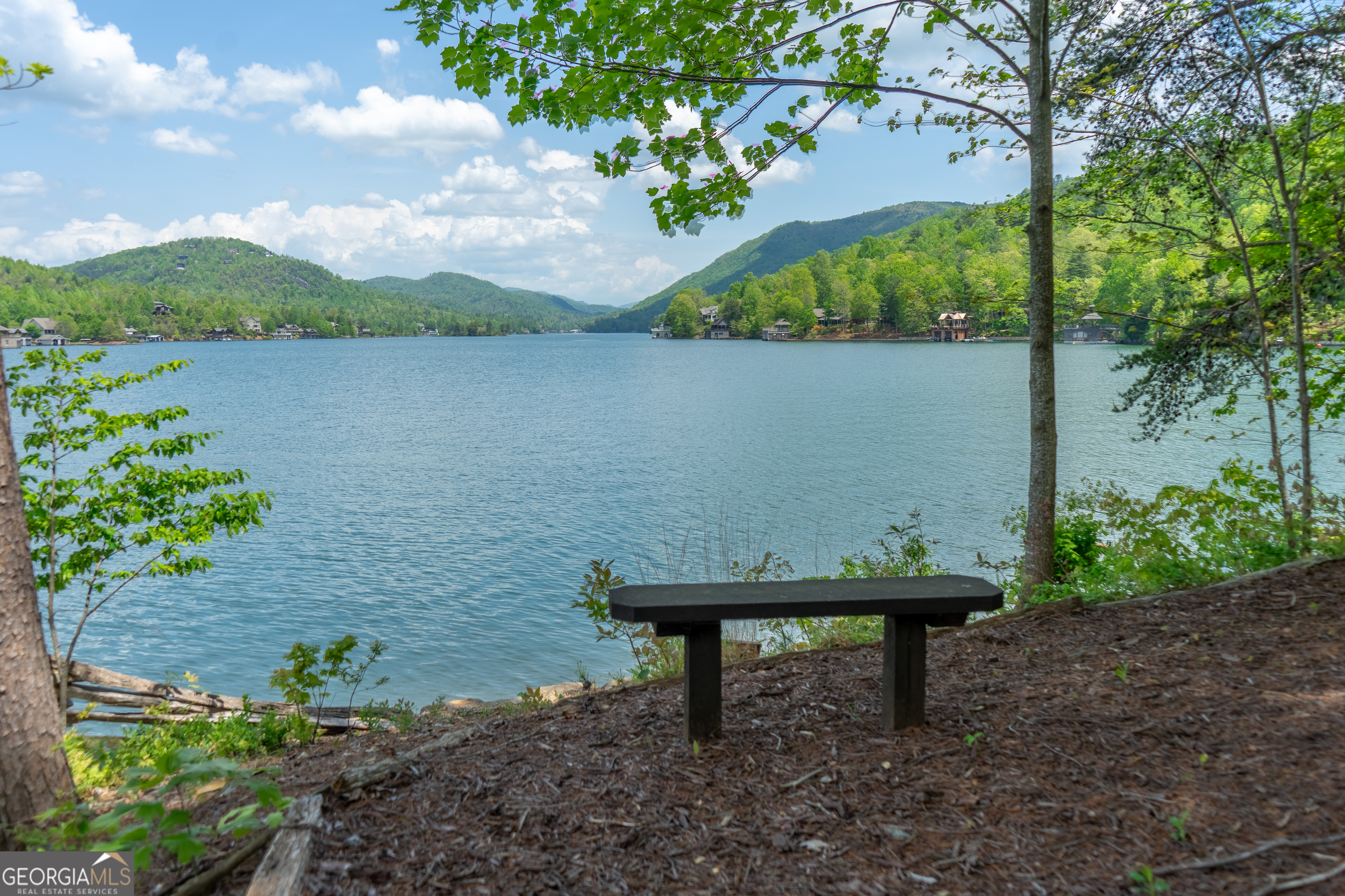 Lake Burton - Residential