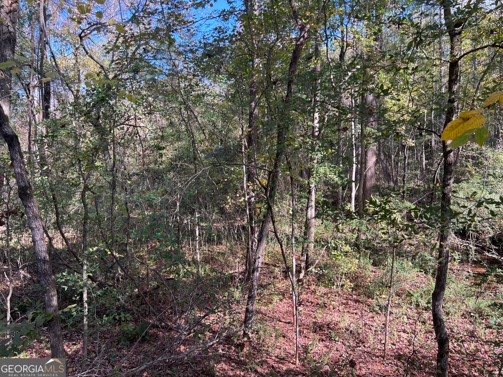 Photo of 0 Sweeper Smith Road, Newnan, GA 30263 (MLS # 10881666)