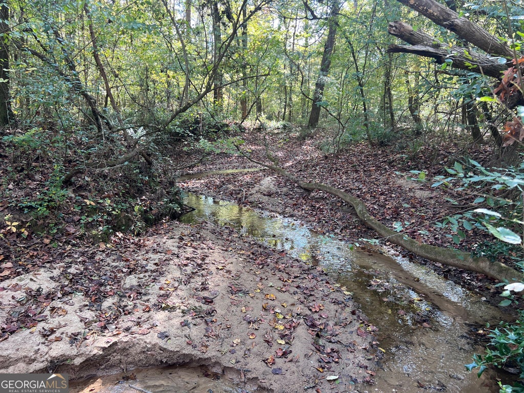 Photo of 0 Sweeper Smith Road, Newnan, GA 30263 (MLS # 10881666)