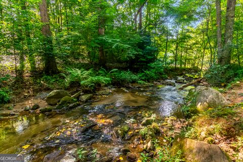 A home in Ellijay