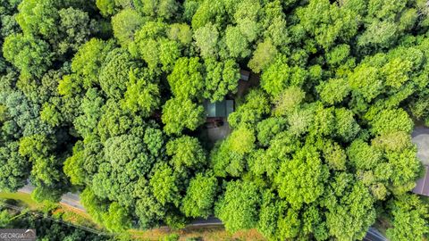 A home in Ellijay