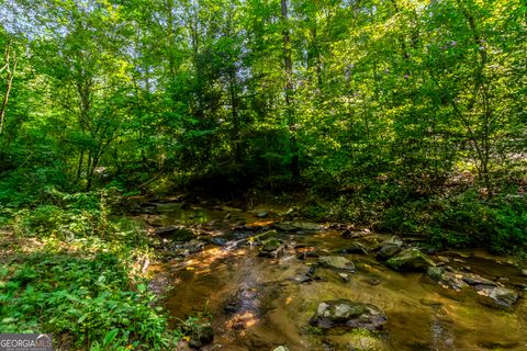 A home in Ellijay