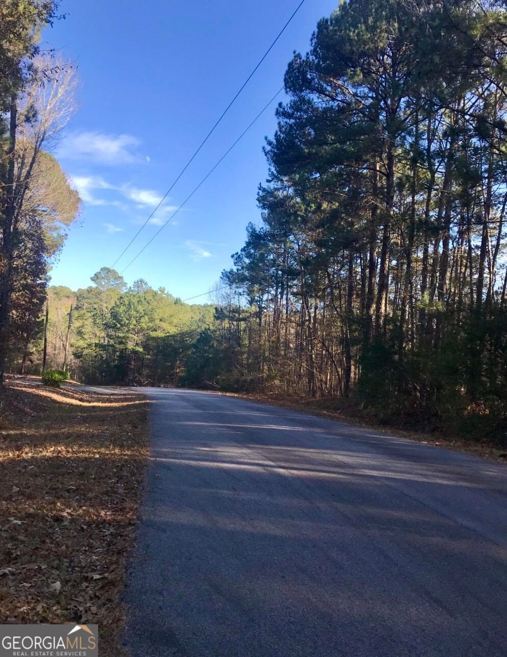 Photo of 0 Leisure Circle, Pine Mountain, GA 31822 (MLS # 10717962)