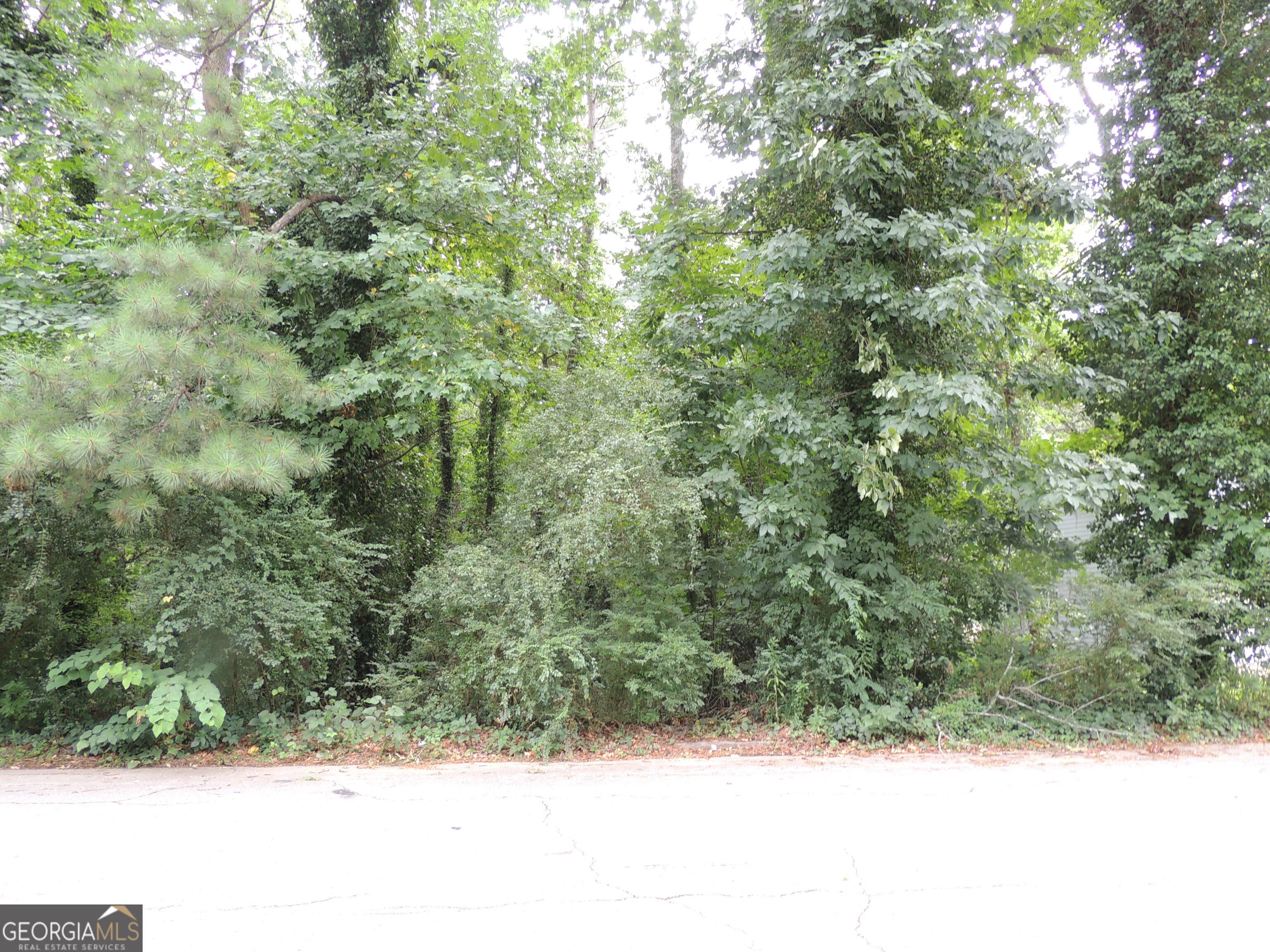 1956 Austin RD SW