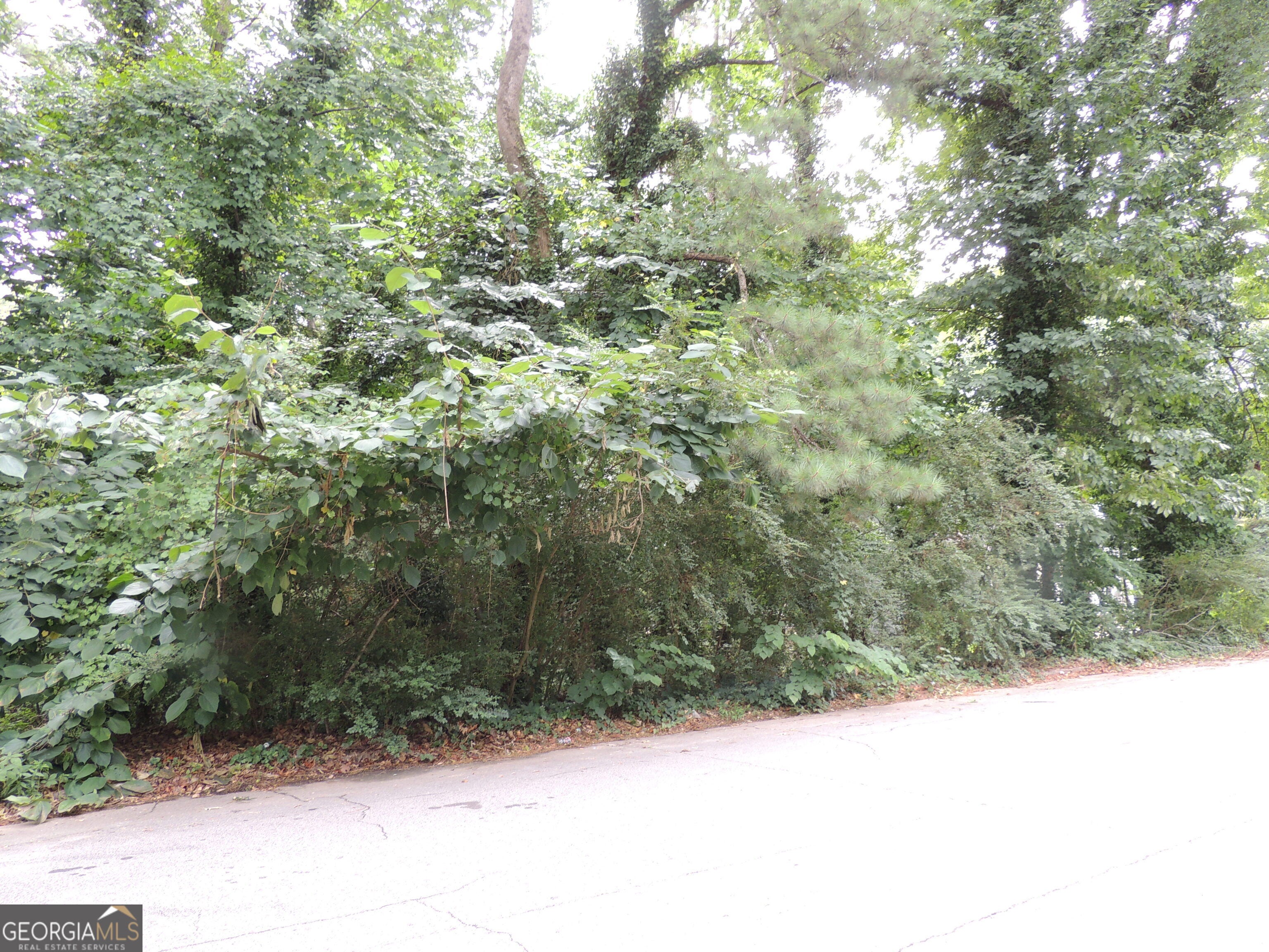 1956 Austin RD SW
