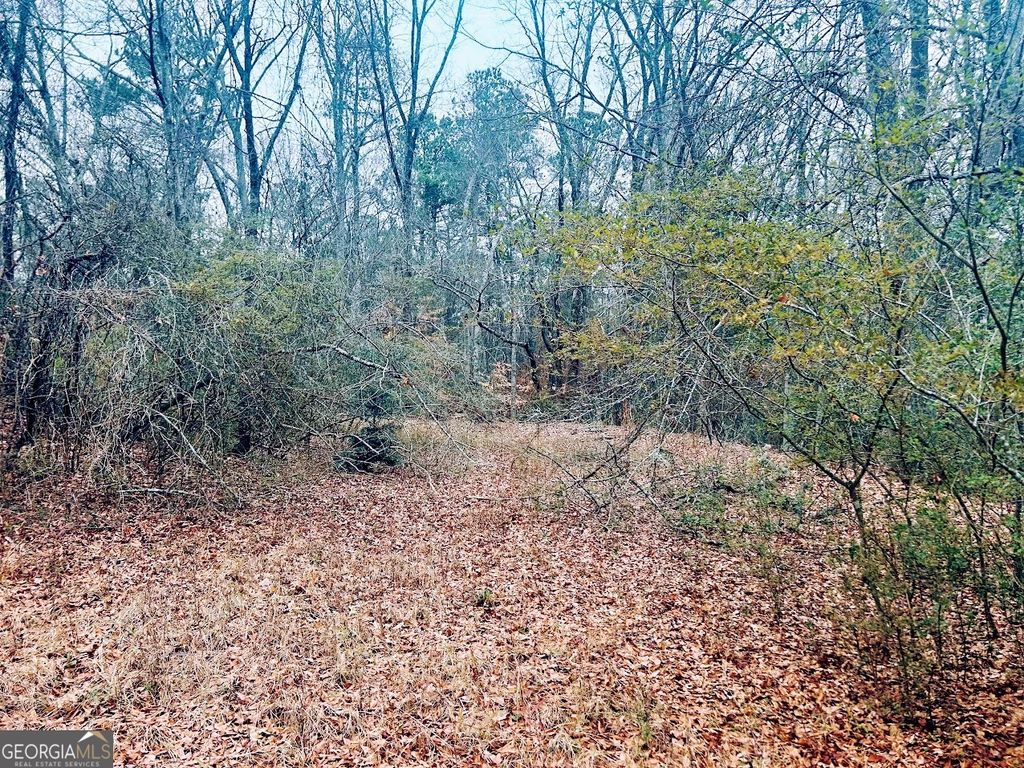 Photo of 0 SW Flat Shoals Road #LOT A, Conyers, GA 30094 (MLS # 10686132)