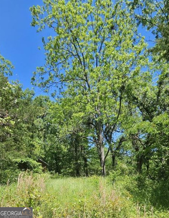 Photo 1 of 3 — 0 Maple CIR, Greensboro, GA 30642