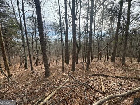 Photo of 117 Leopard Court, Waleska, GA 30183 (MLS # 10445389)