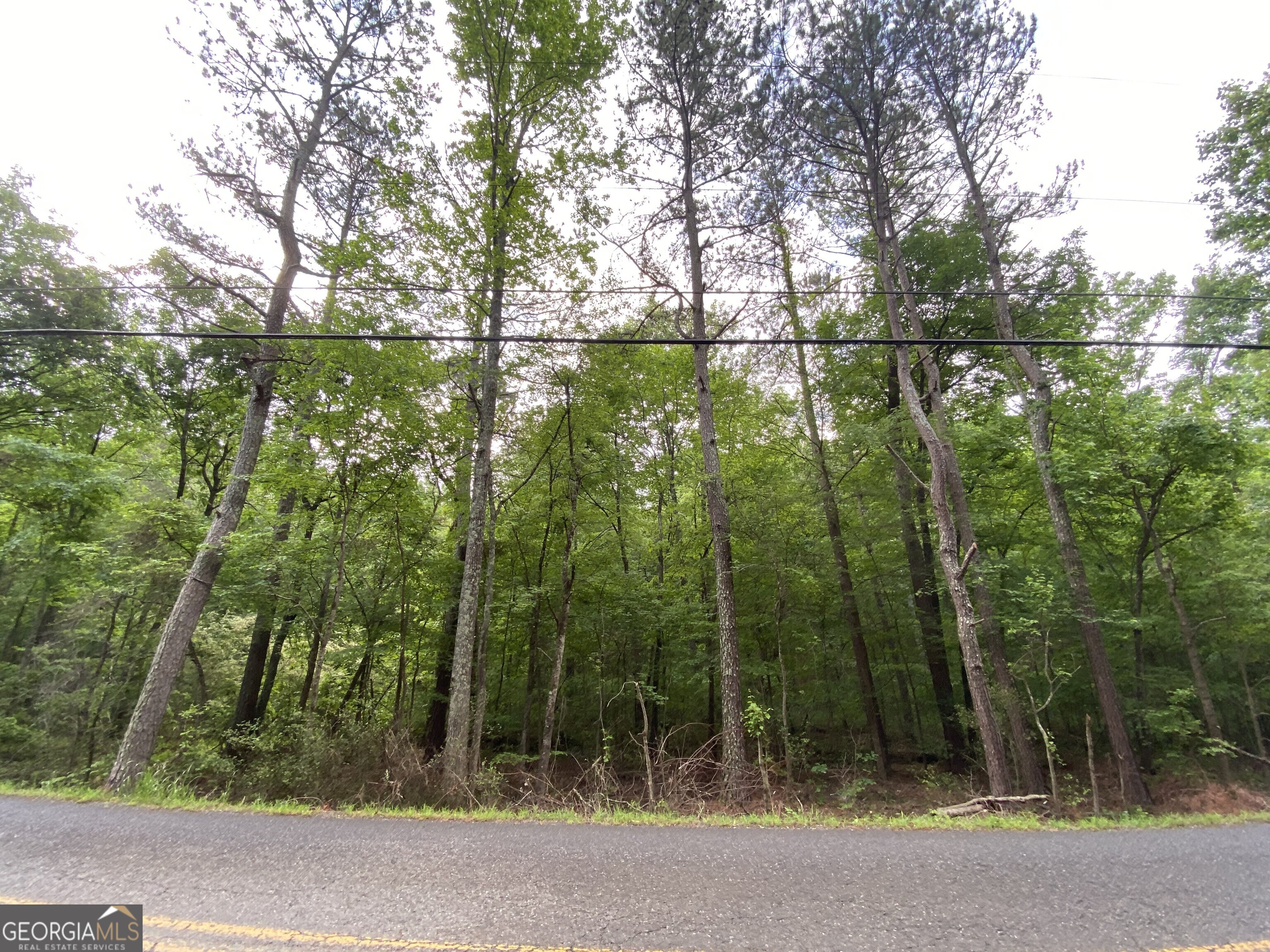 0 Fire Tower Road