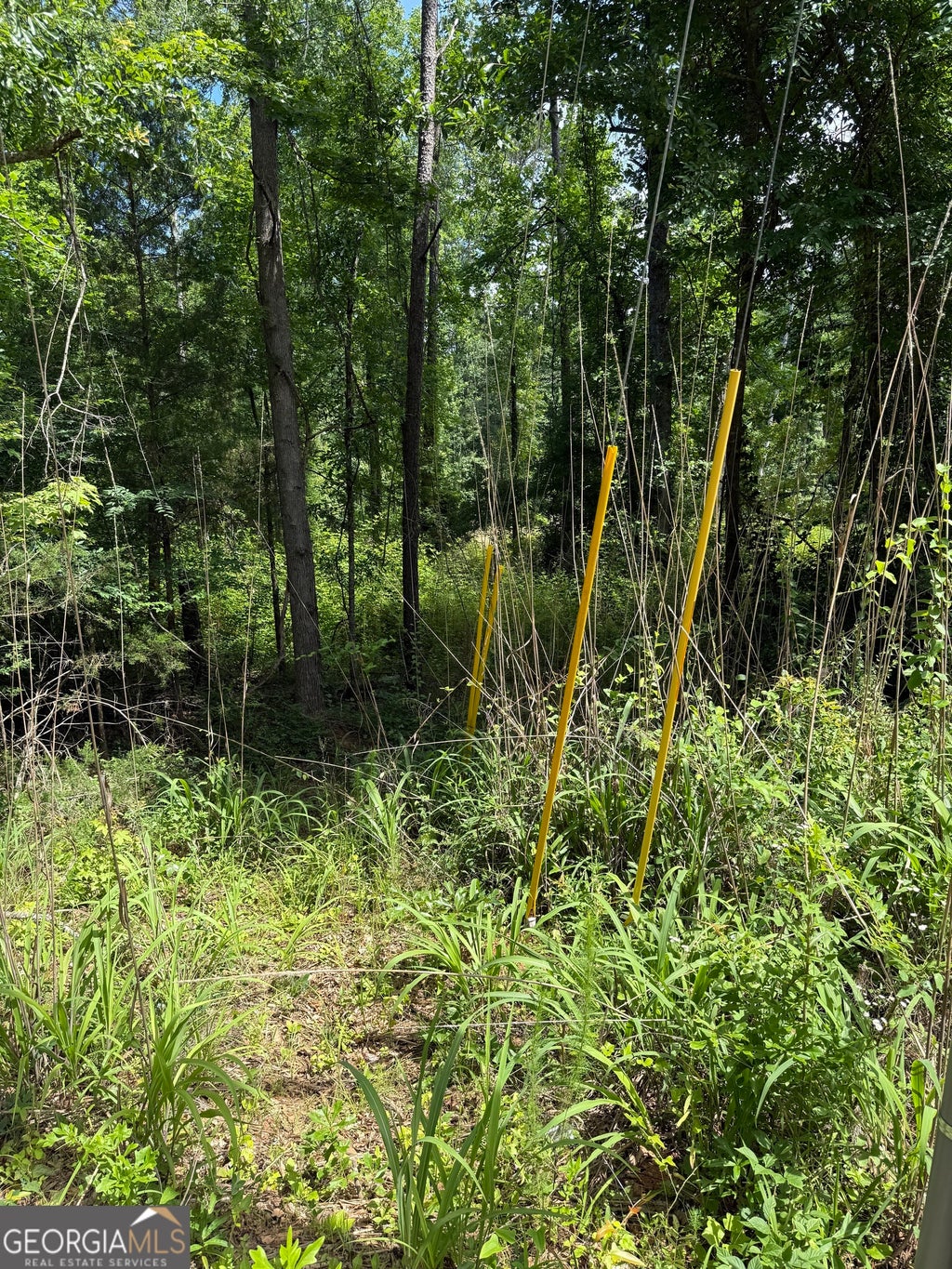 Photo of 1665 Piedmont Road, Griffin, GA 30224 (MLS # 10780815)