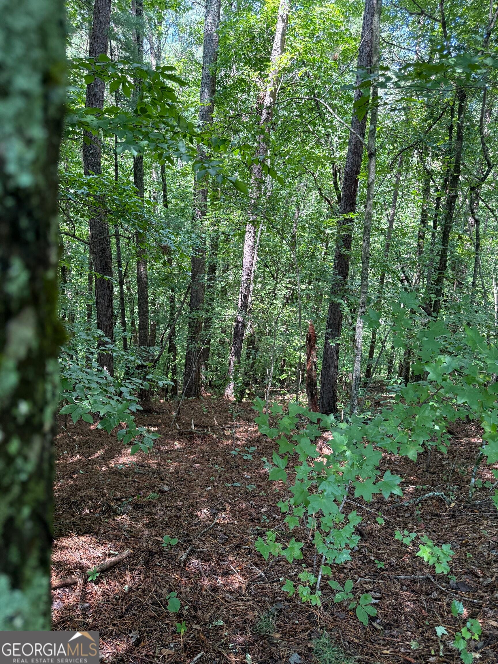 1707 Rebekah Ridge RD