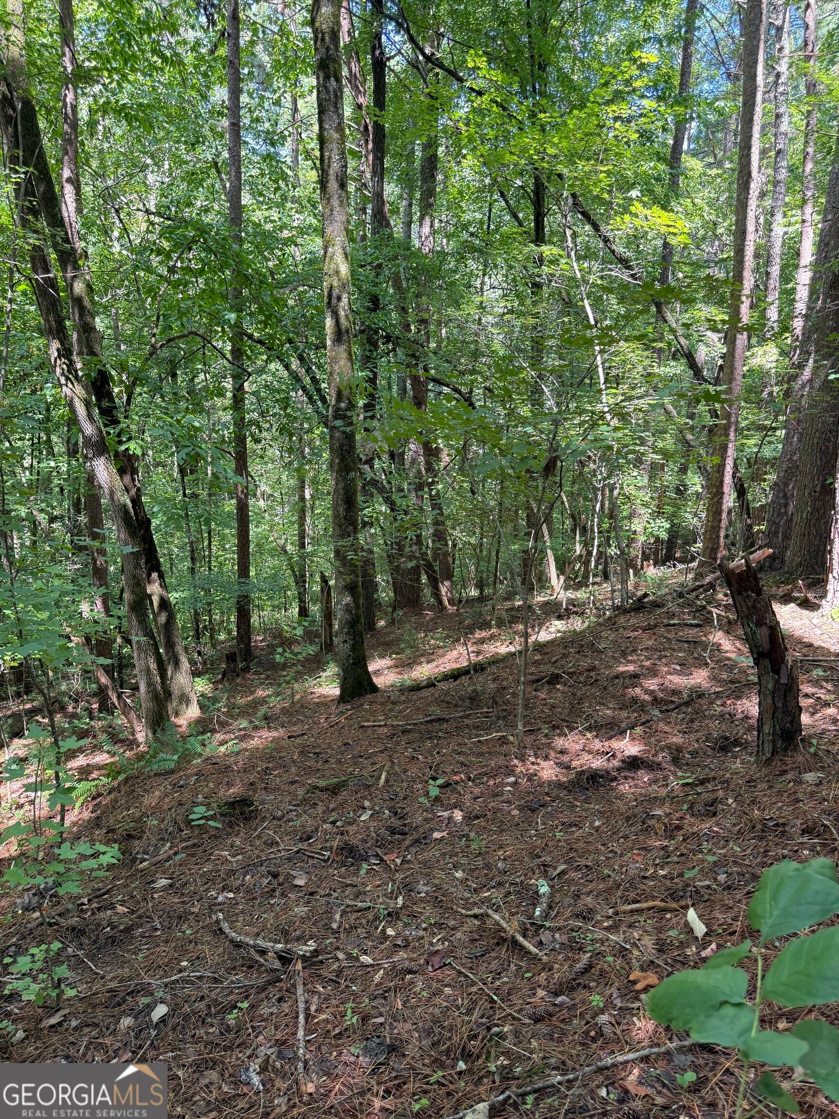 1707 Rebekah Ridge RD