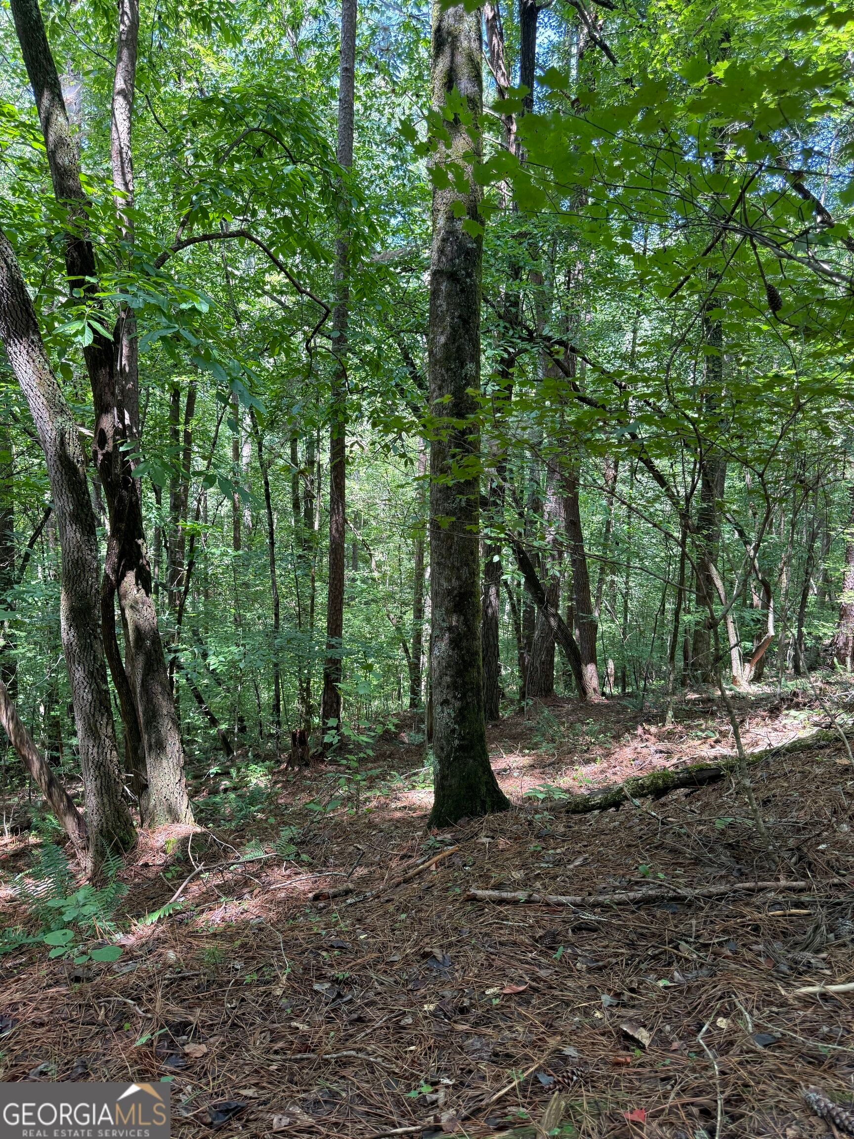 1707 Rebekah Ridge RD