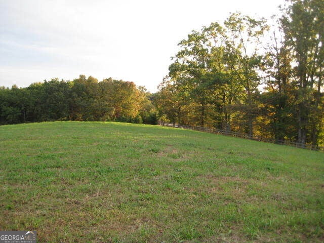 305 Laurel Springs/Opossum