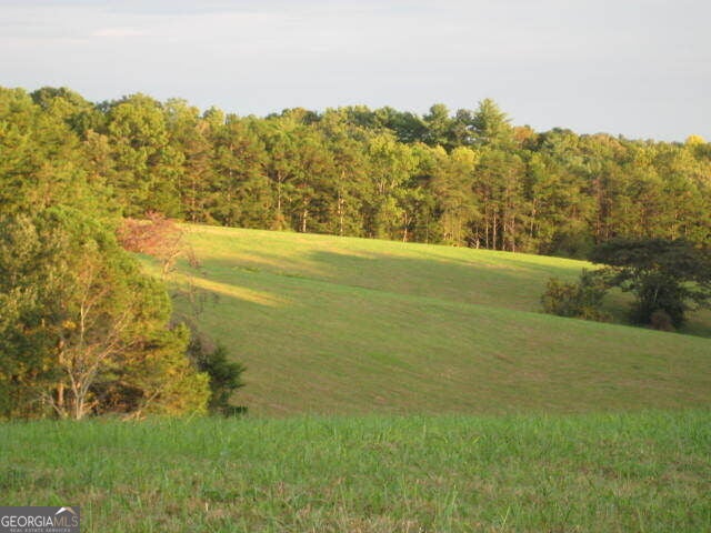305 Laurel Springs/Opossum