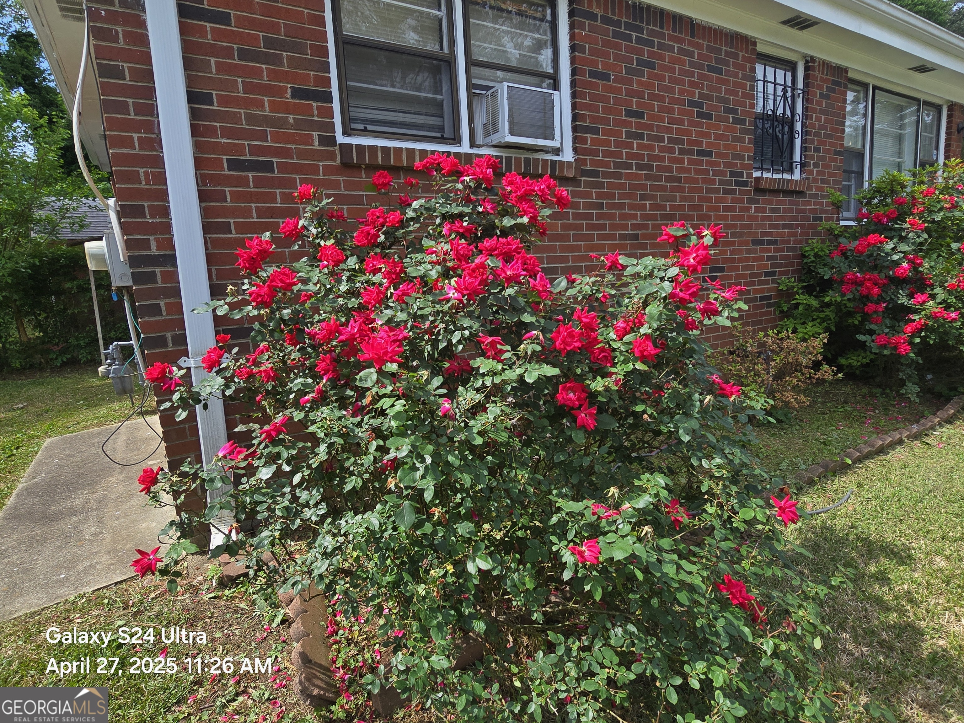 1143 Rockcut RD