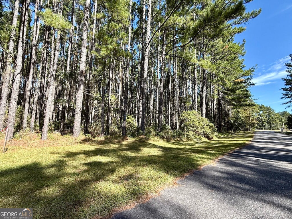 Photo of 0 La Vento Lane, Waverly, GA 31565 (MLS # 10880487)
