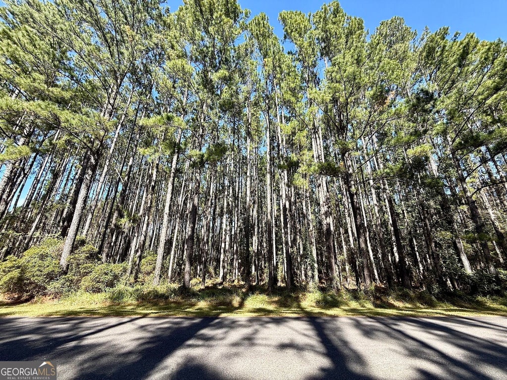 Photo of 0 La Vento Lane, Waverly, GA 31565 (MLS # 10880487)