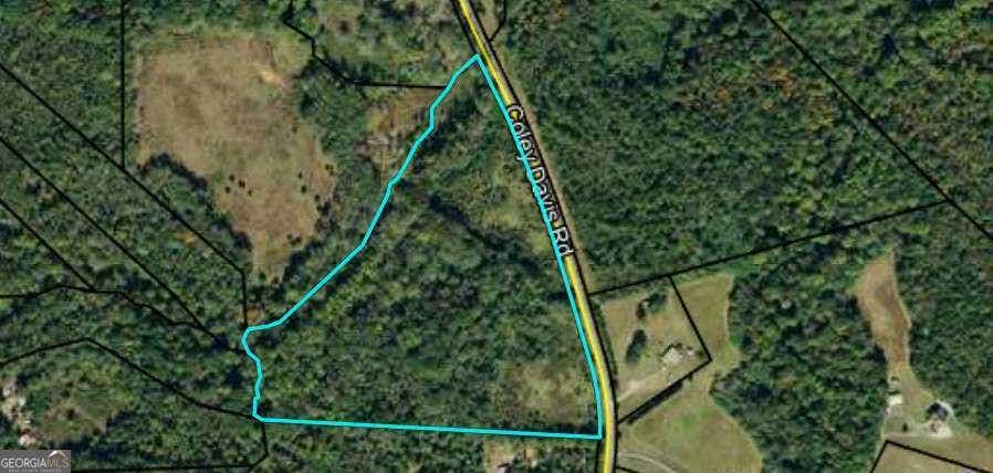 Photo of 0 Coley Davis Road, Danielsville, GA 30633 (MLS # 10822392)