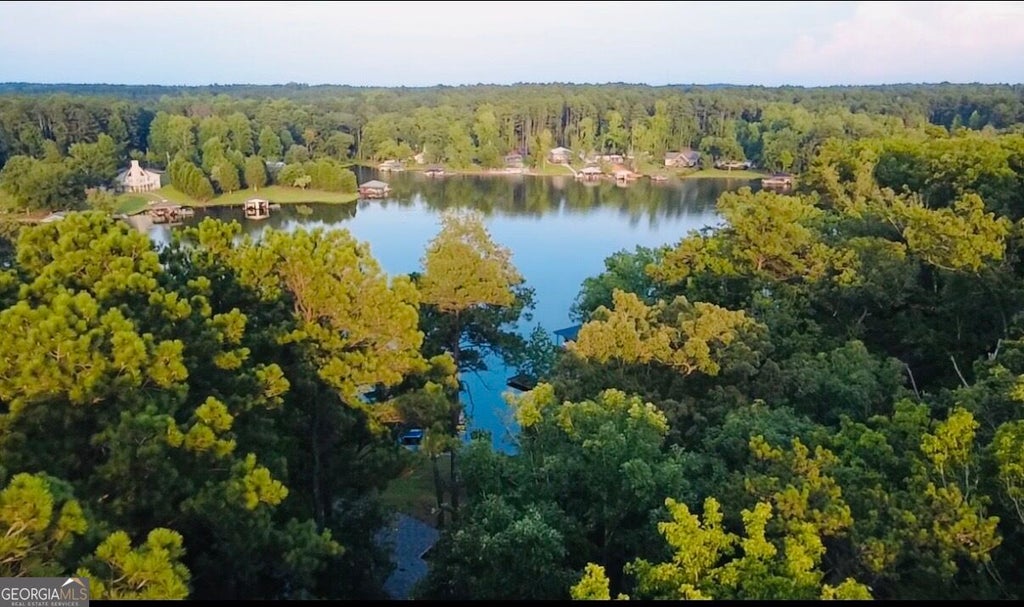Photo of 0 Table Mountain Trl, Sparta, GA 31087 (MLS # 10841474)
