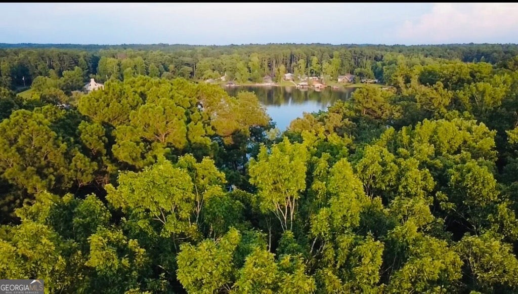 Photo of 0 Table Mountain Trl, Sparta, GA 31087 (MLS # 10841474)