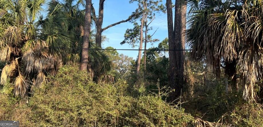 Photo of 1109 Solomon Avenue, Tybee Island, GA 31328 (MLS # 10876870)