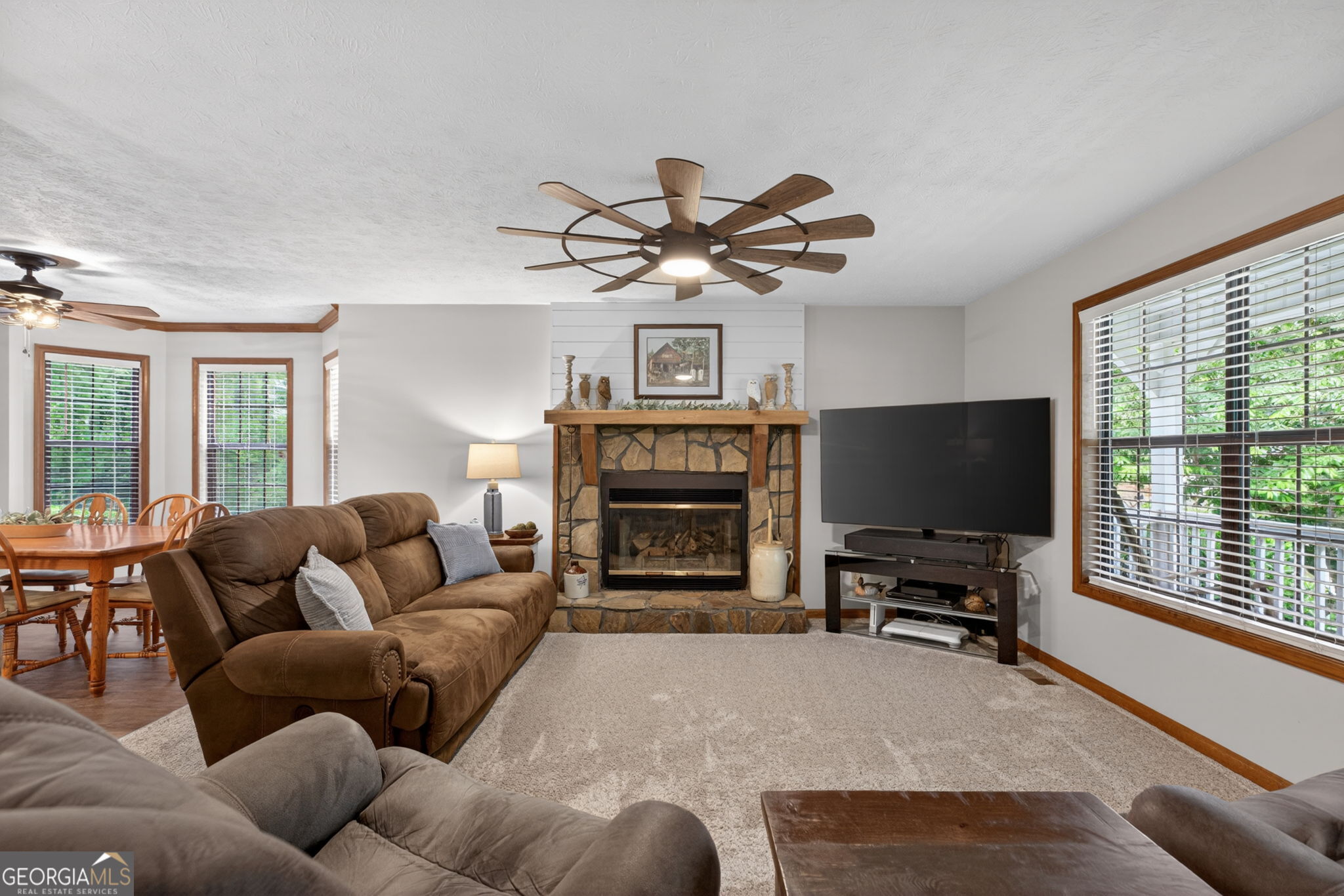 4301 Cades Cove DR