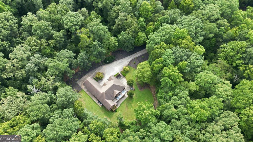 Photo of 248 Tanglewood Drive S, Royston, GA 30662 (MLS # 10821777)