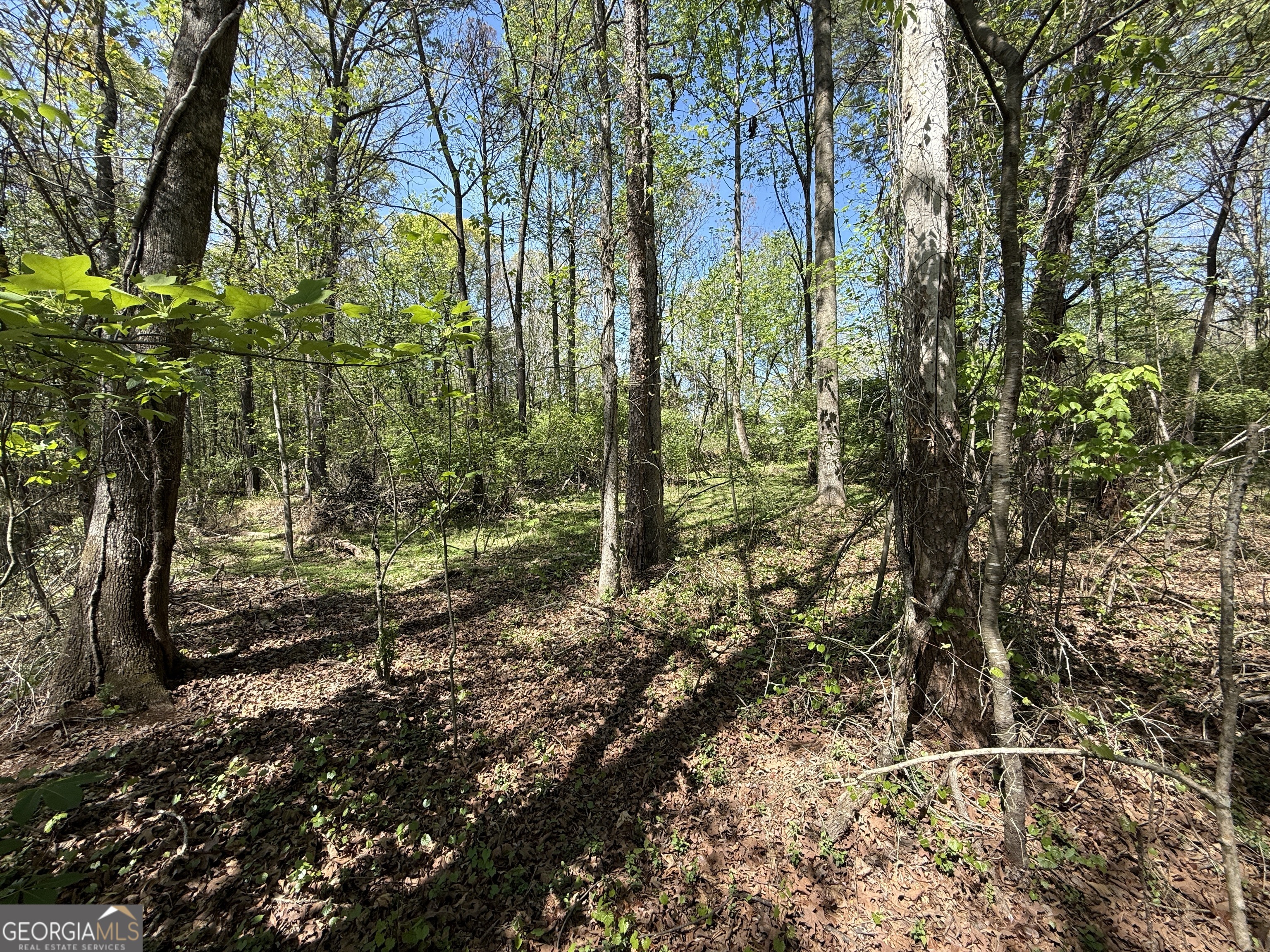 0 Panhandler Circle (2B)