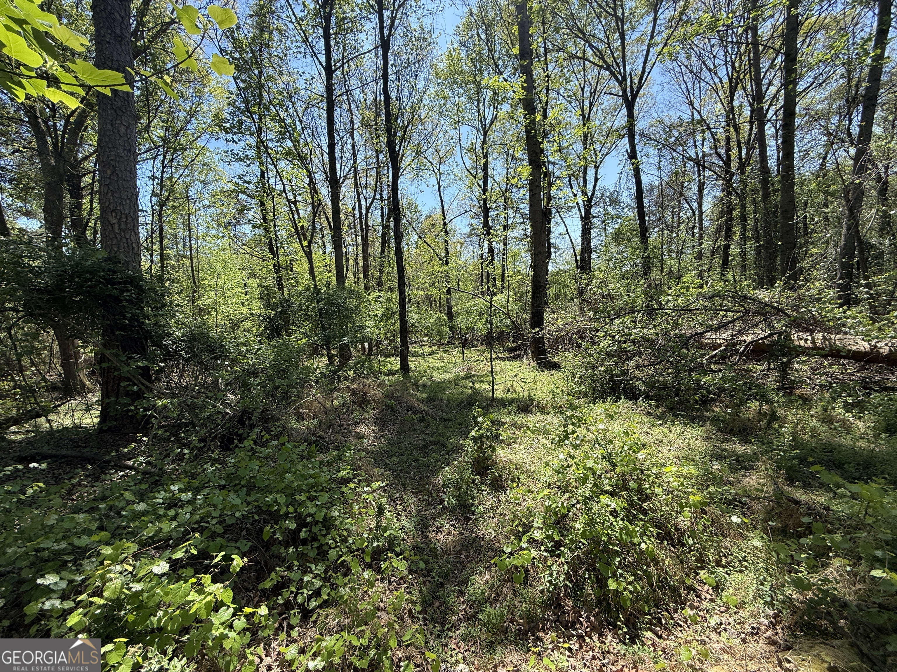 0 Panhandler Circle (2B)