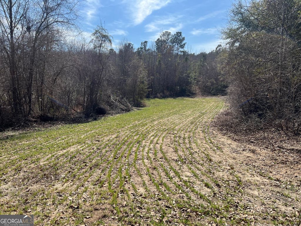 Photo of 660 Brooks Road, Sandersville, GA 31082 (MLS # 10475384)