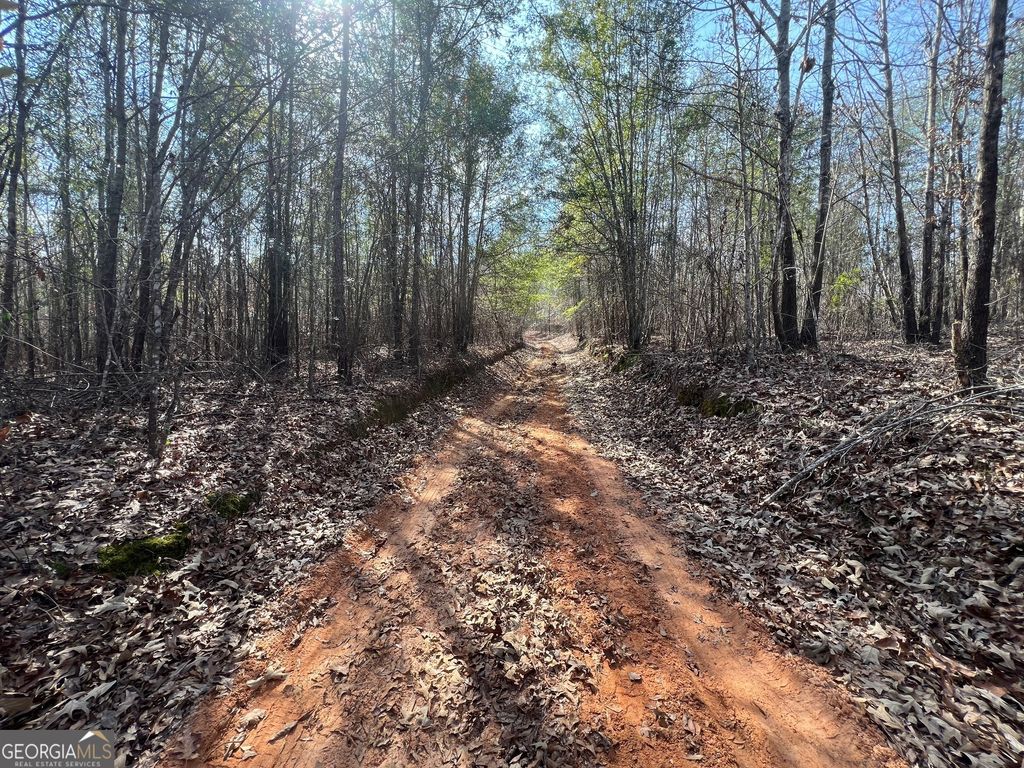 Photo of 660 Brooks Road, Sandersville, GA 31082 (MLS # 10475384)