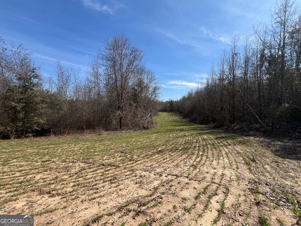 Photo of 660 Brooks Road, Sandersville, GA 31082 (MLS # 10475384)