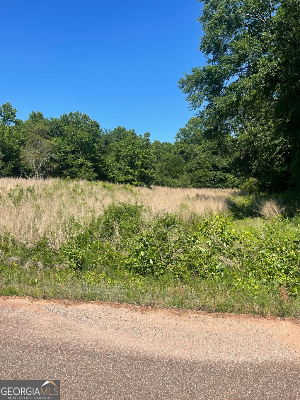 Photo of 13 Nails Creek Xing, Royston, GA 30662 (MLS # 10764483)